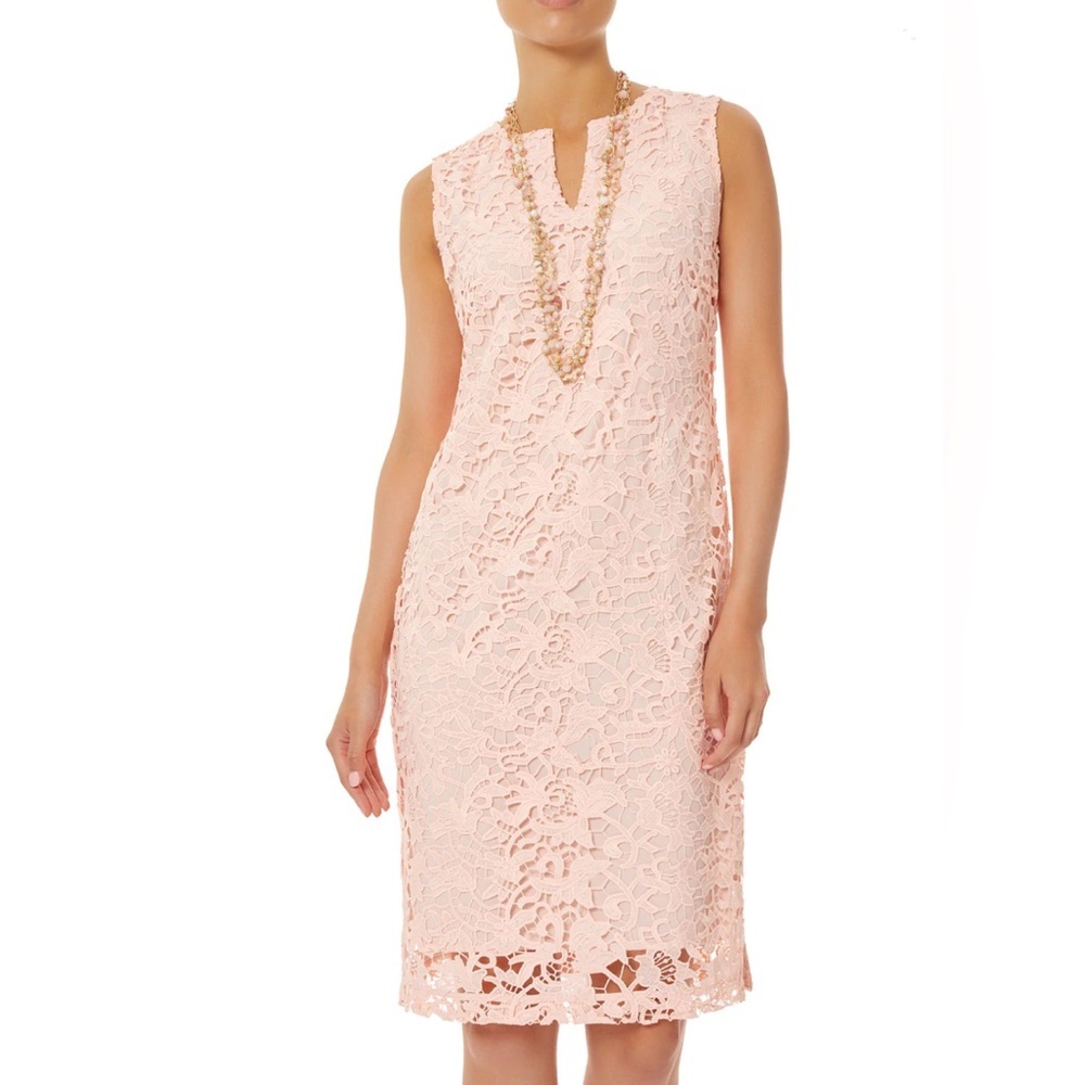 Ming Wang Delicate Lace Floral Sheath Dress NWT